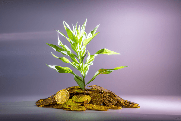 How AssetView enables investors and advisors create a financial projection by planning specific transactions